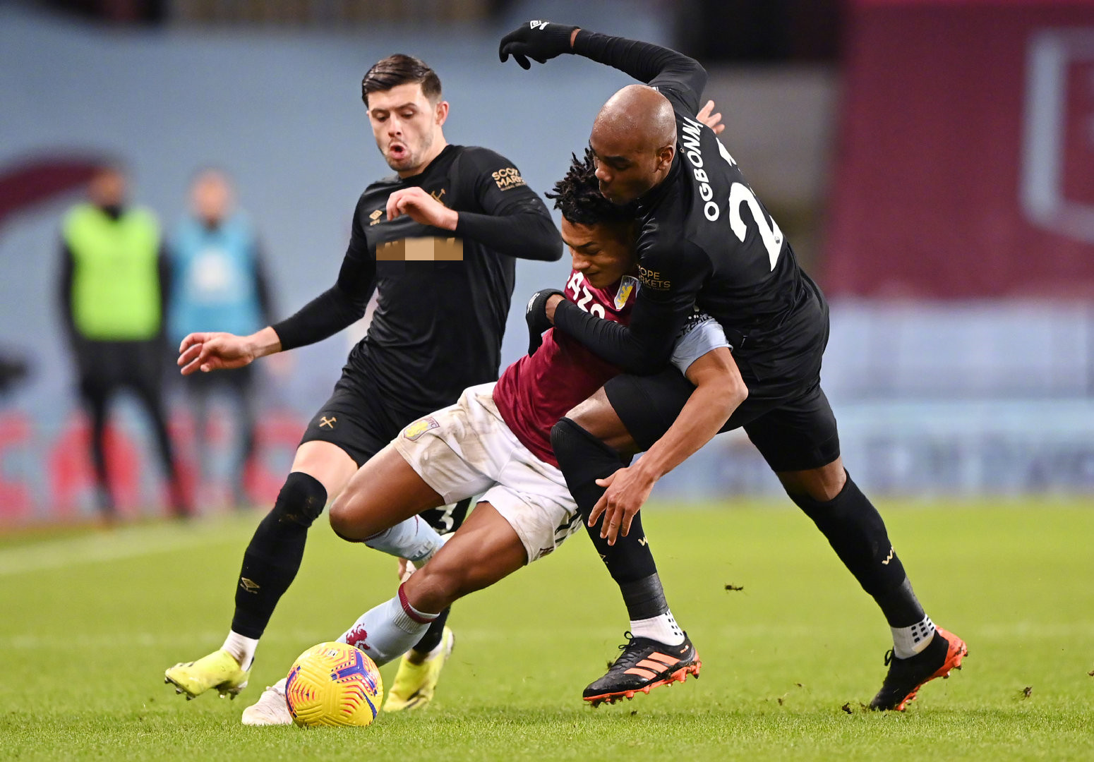 了多样性和 了多样性和